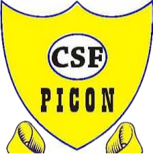 CSFPicon